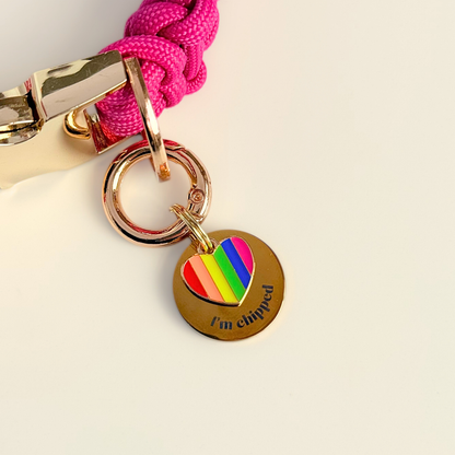 Gold brass rainbow striped heart dog collar ID tag, Enamel charm with dog name and address details. easily clips onto collar or harness. Picture shows the charm attached to a pink paracord dog collar.