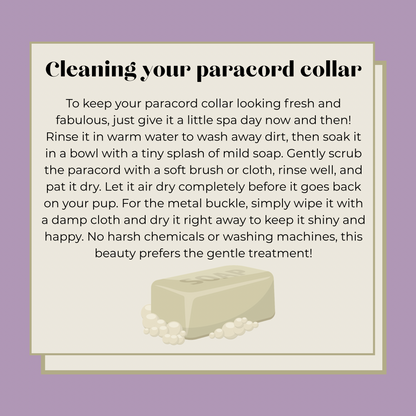 How to clean your paracord dog collar.