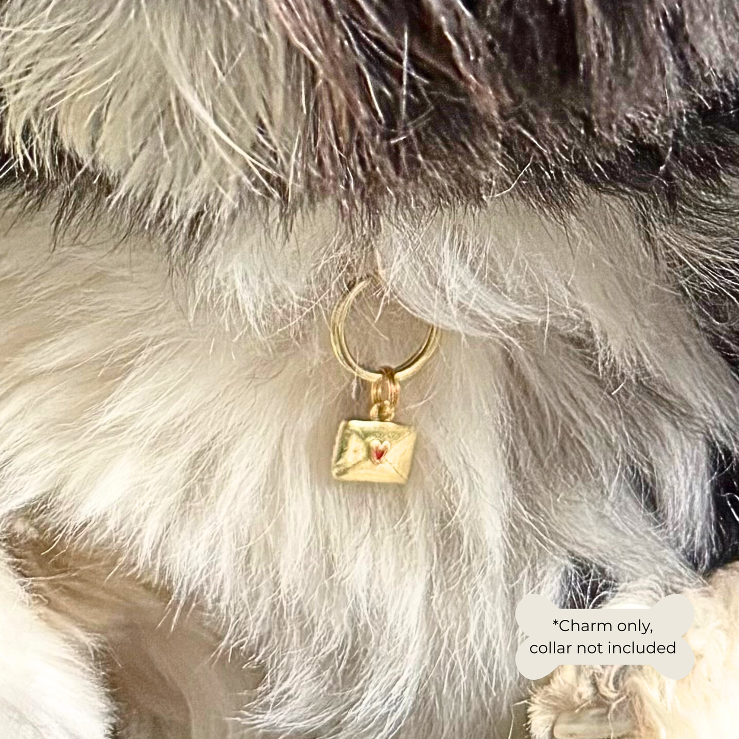 Gold plated brass envelope dog collar charm featuring a red enamel heart. Close-up picture of it being worn.￼