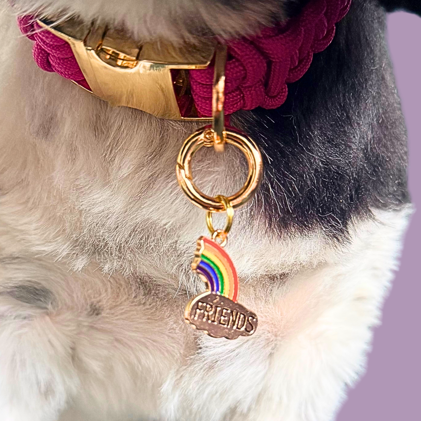 Set of two ‘best friends’ matching dog collar charm and keyring. With enamel rainbow gold plated charms, on secure carabiner style O-rings, for easy use. Close up picture of Bonnie wearing the friends charm.