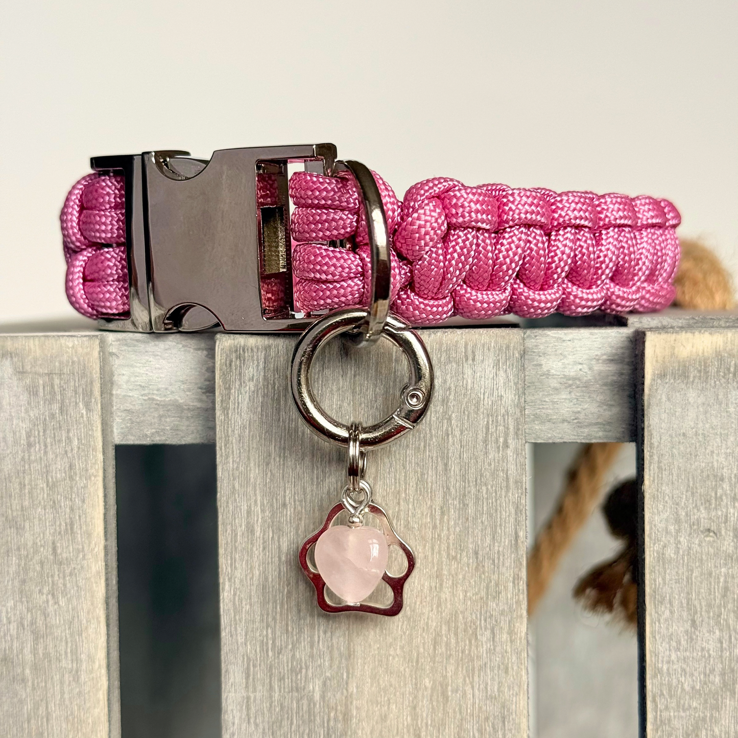 Crystal for dogs pet collar charm featuring a 10mm rose quartz heart shaped bead and a brass silver coloured paw print tag. A stone for love, calm and comfort. Pictured attached to a pink dog collar.
