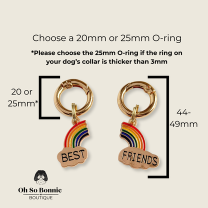 Set of matching ‘Best Friends’ rainbow dog collar charm and keyring