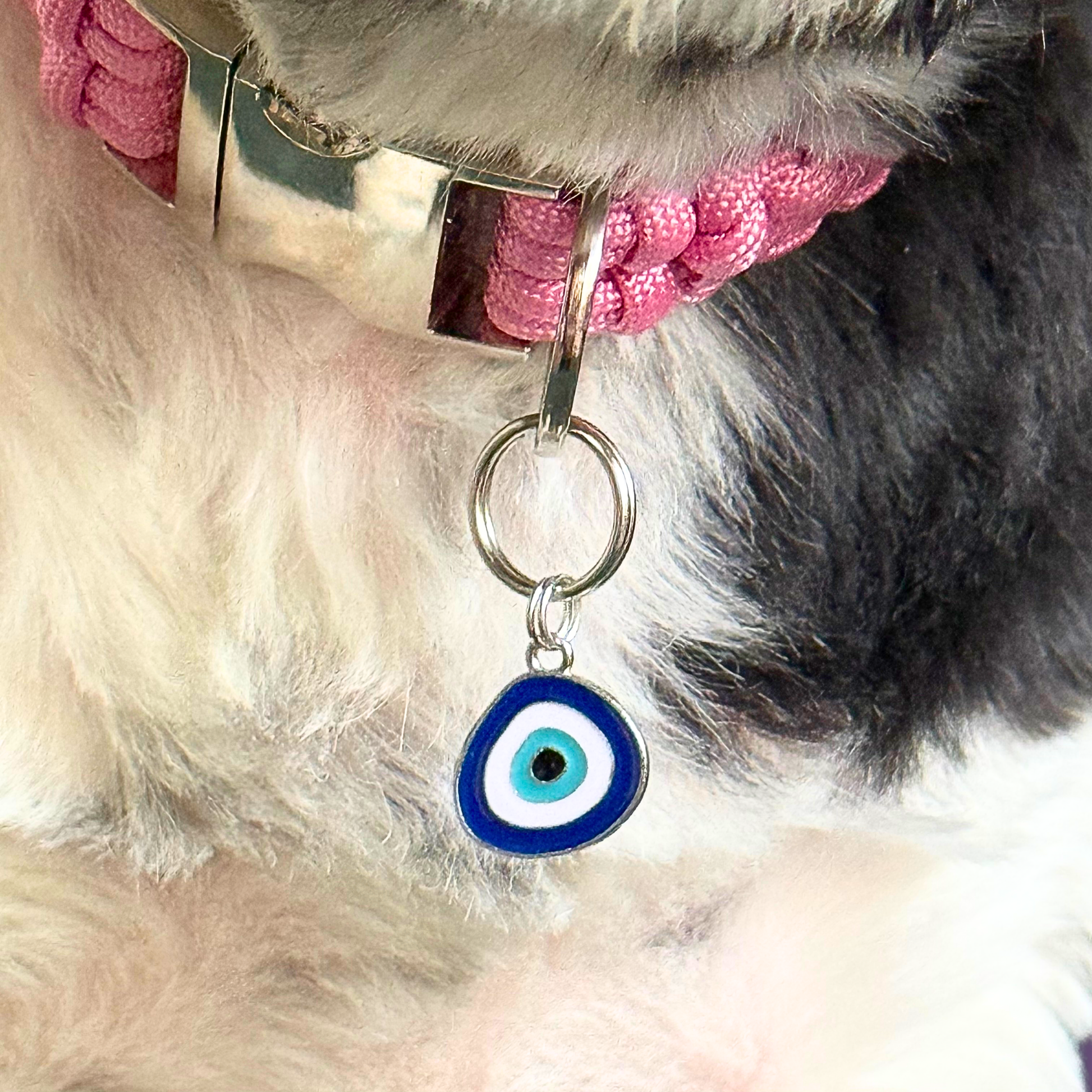 Silver plated blue turkish evil eye dog collar charm, for protection, security and grounding, 35mm easy to attach to pet collars. Picture shows the tag attached to a pink paracord dog collar, close-up.