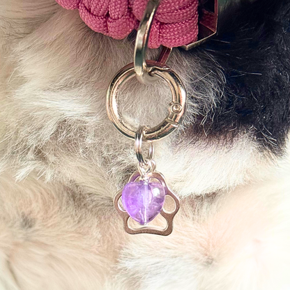 Crystal for dogs pet collar charm featuring a 10mm purple amethyst heart shaped bead and a brass silver coloured paw print tag. Pictured close up.