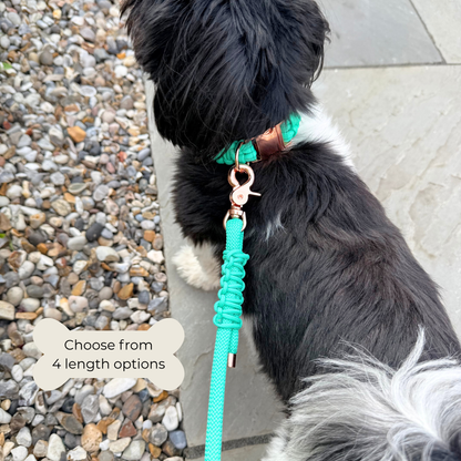 Custom made mint green nylon rope dog lead with choice of metal hardware. Four lead lengths available. Easy strong grip handle. Pictured with Bonnie wearing the matching collar.