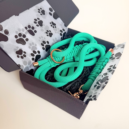 A bright mint green braided rope leash with rose gold-tone hardware, presented inside a black gift box lined with white tissue paper featuring a black paw print pattern.