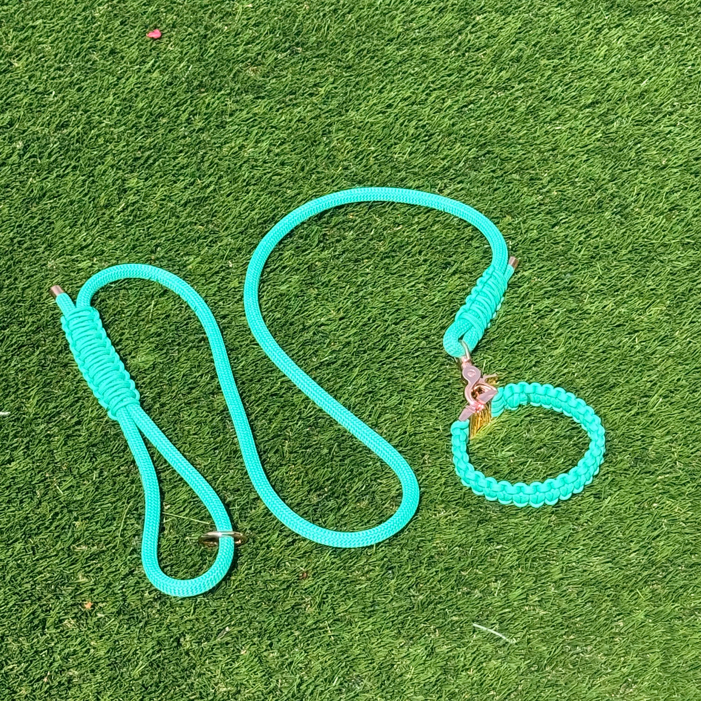 Custom made mint green nylon rope dog lead with matching paracord braided collar. Choice of metal hardware, shown in rose gold. Four lead lengths available. Easy strong grip handle. Pictured on the lawn.