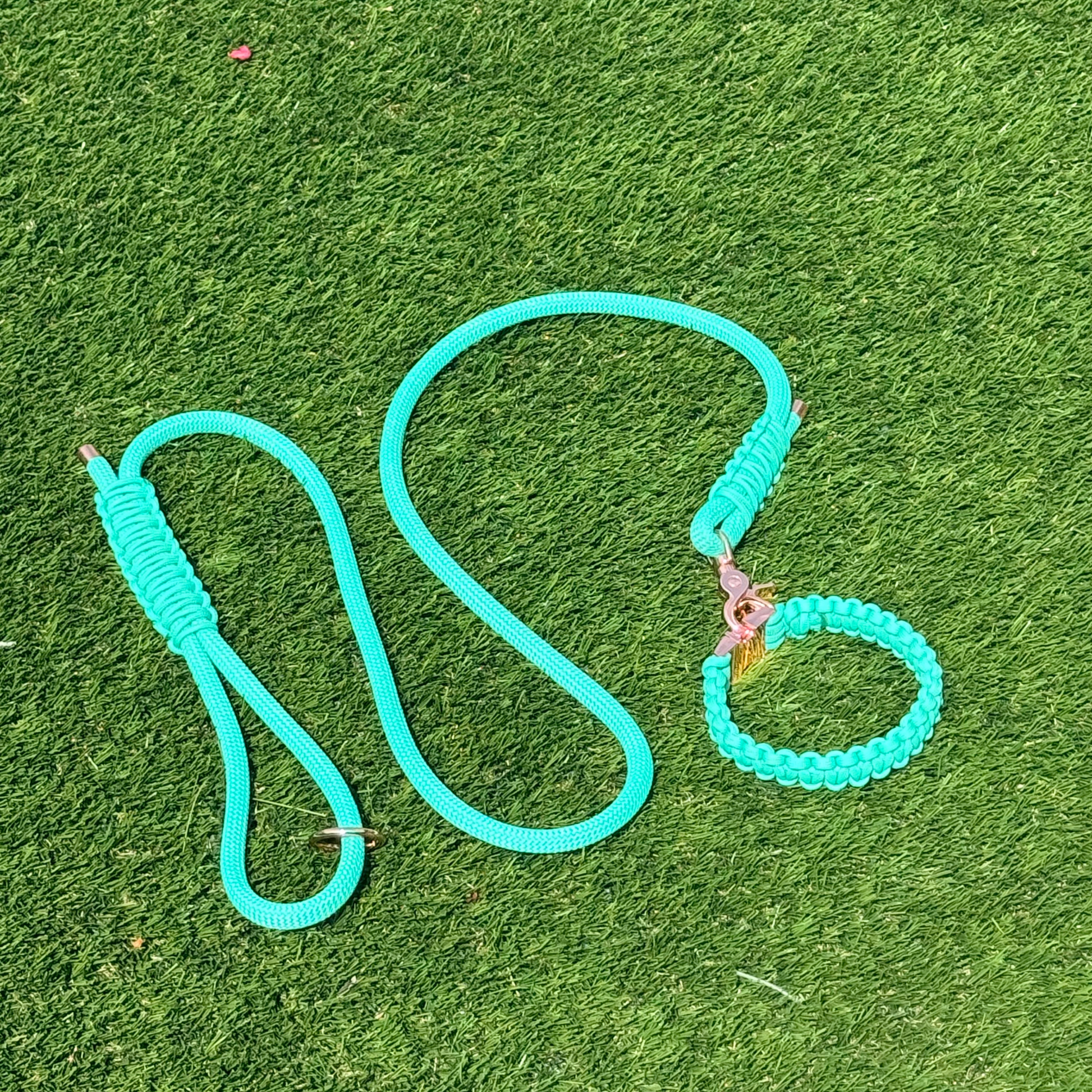 Custom made mint green nylon rope dog lead with matching paracord braided collar. Choice of metal hardware, shown in rose gold. Four lead lengths available. Easy strong grip handle. Pictured on the lawn.