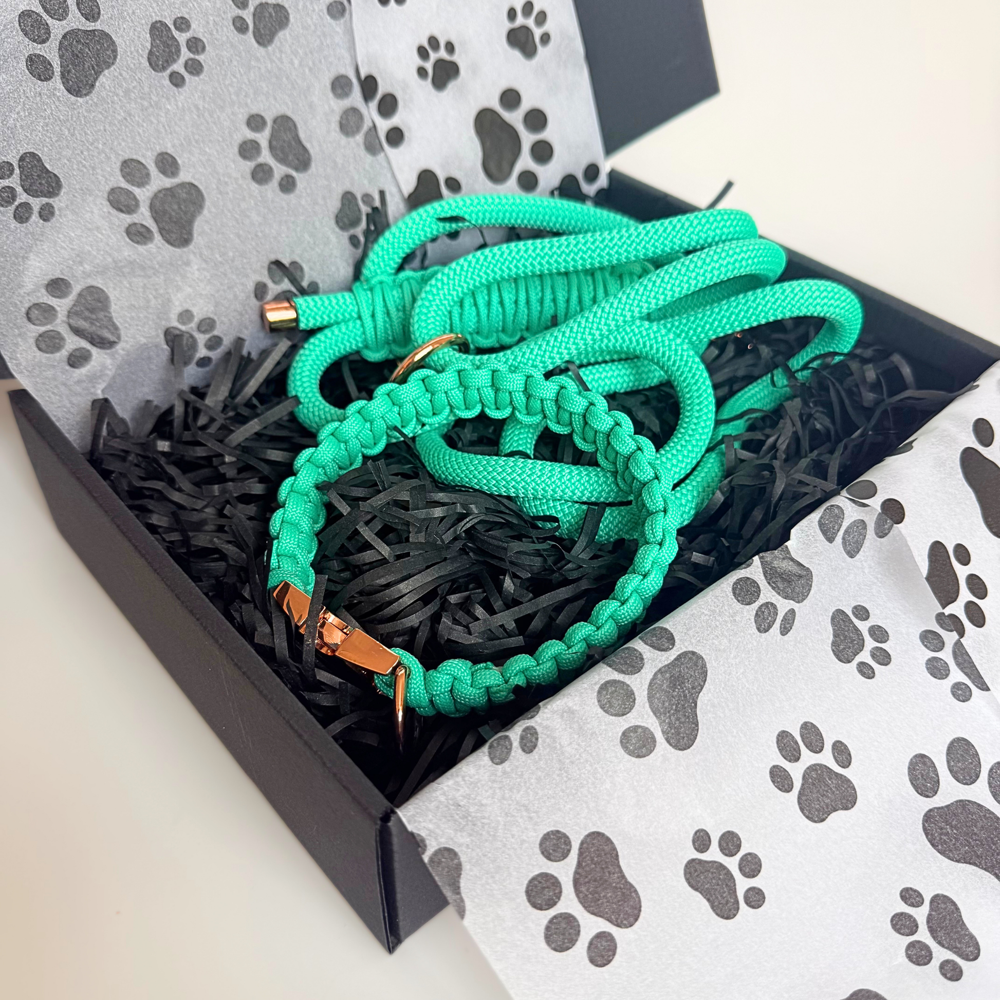 A bright mint green paracord dog leash and matching collar with rose gold hardware, presented inside a black gift box with black shredded paper and paw-print tissue paper.