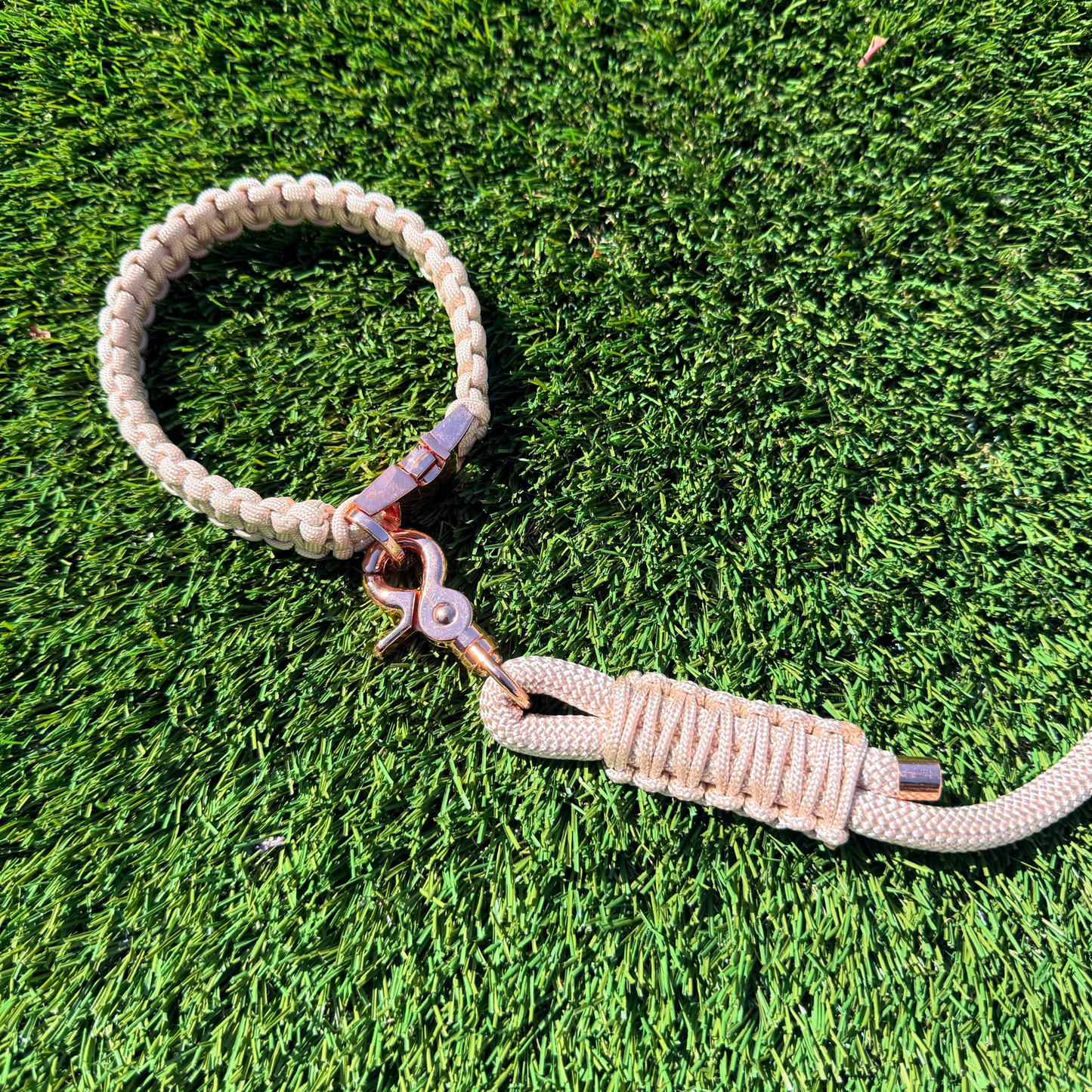 Custom made beige  paracord braided dog collar. Picture shows rose gold hardware option close up on lawn