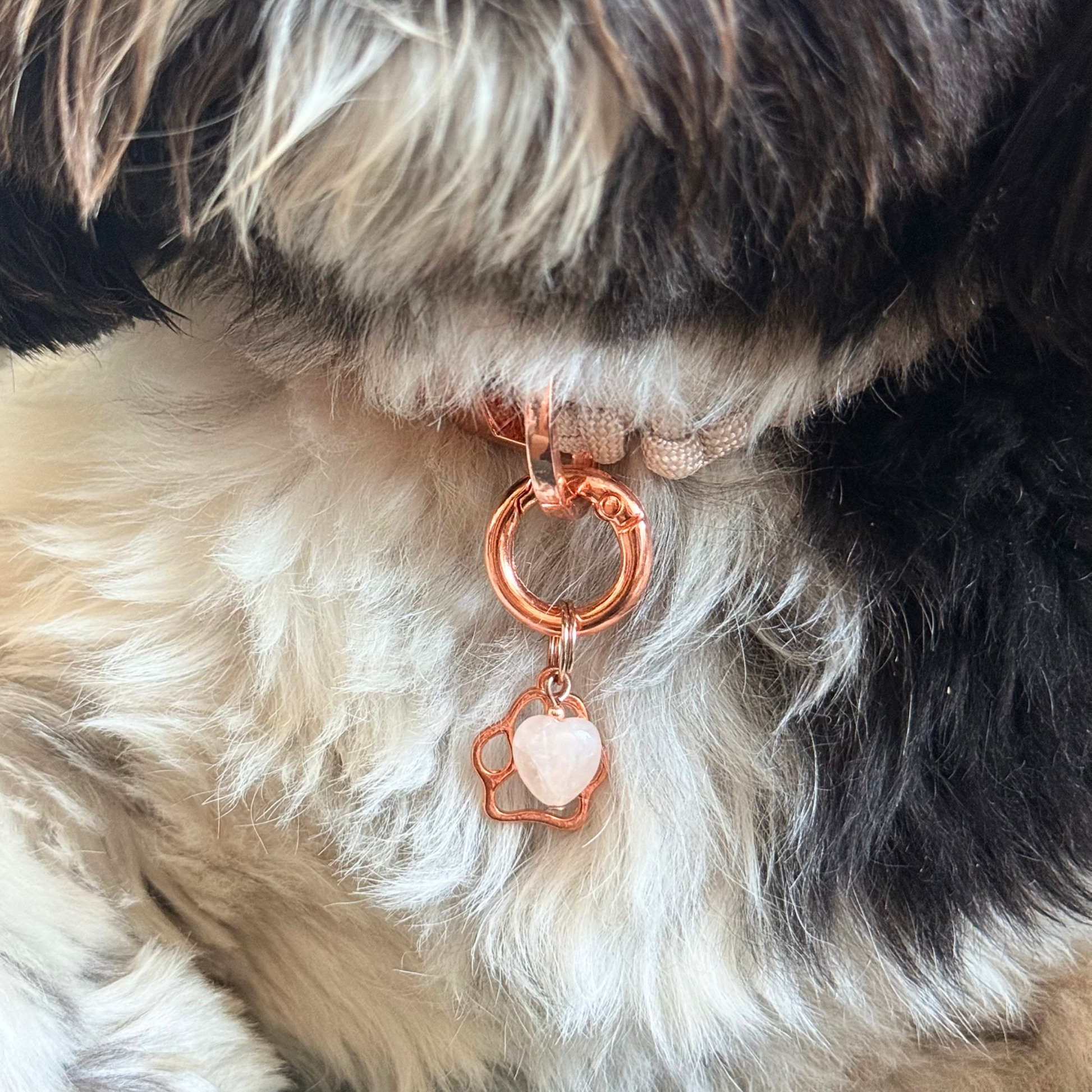Crystal for dogs pet collar charm featuring a 10mm rose quartz heart shaped bead and a brass rose-gold coloured paw print tag. A stone for love, calm and comfort. Close up picture.