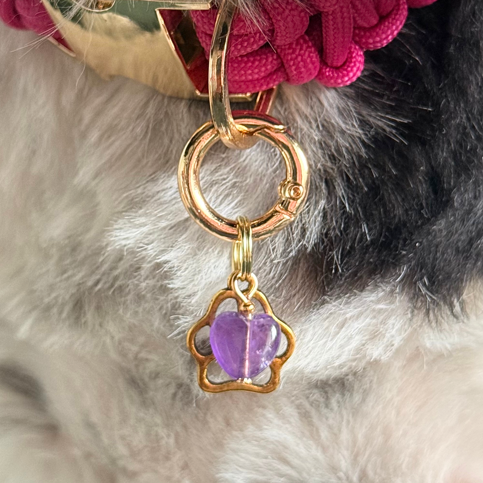 Crystal for dogs pet collar charm featuring a 10mm purple amethyst heart shaped bead and a brass gold coloured paw print tag. Pictured close up.