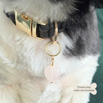 Handmade dog collar charm featuring a 15mm pink rose quartz natural gemstone crystal bead. Hung on a gold plated brass split ring that attaches onto your pet collar. Rose quartz can help pets with love, comfort and calming. Close up picture of the charm being worn by Bonnie.