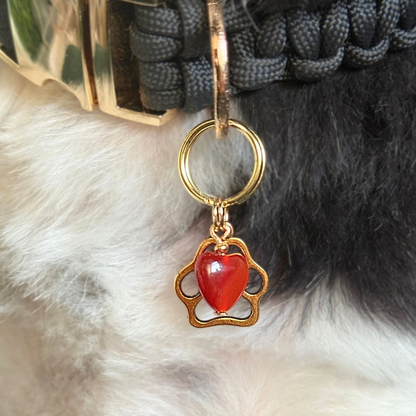 Crystal for dogs pet collar charm featuring a 10mm red carnelian heart shaped bead and a brass gold coloured paw print tag. A stone for confidence, vitality and motivation. Close up picture attached to Bonnie’s collar.