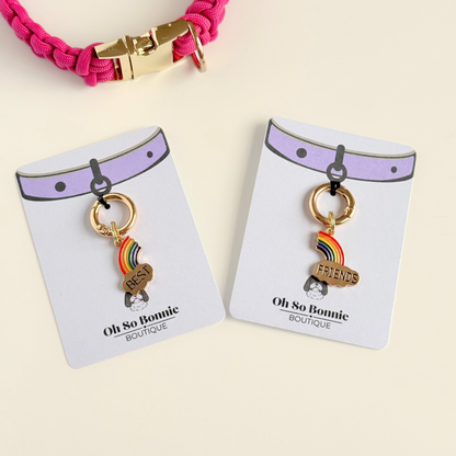 Set of two ‘best friends’ matching dog collar charm and keyring. With enamel rainbow gold plated charms, on secure carabiner style O-rings, for easy use. 