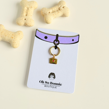 Gold plated brass envelope dog collar charm featuring a red enamel heart. Pictured on the display card next to some dog biscuits.￼