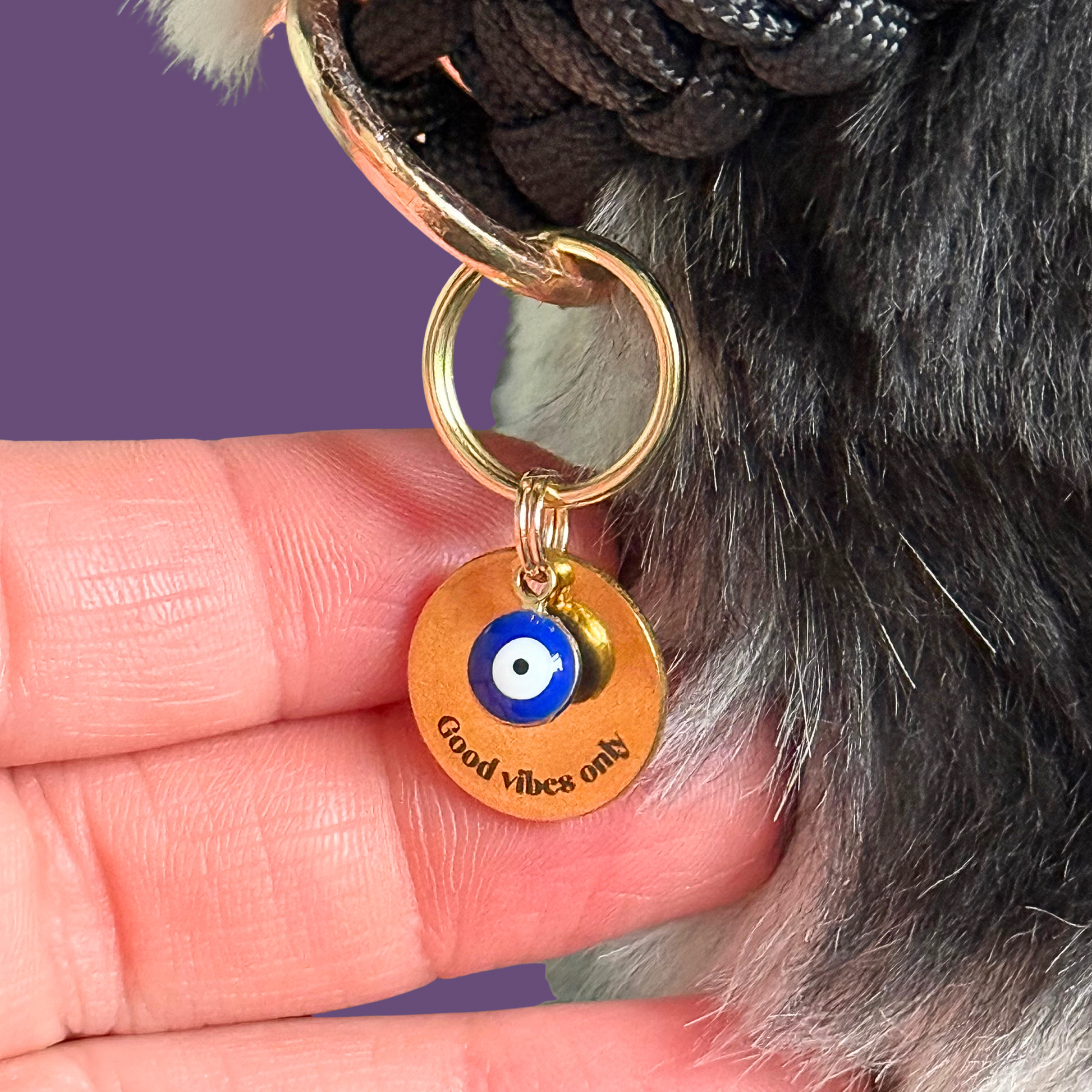 Gold plated brass and stainless steel 15mm dog collar charm with ID tag. Personalised custom identification tag with a small, blue Turkish Evil Eye charm, on a 15mm brass split ring. Engraved with the words ‘Good vibes only’ on the front. Pictured close up.