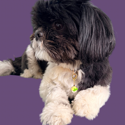 Enamel and gold plated hatching yellow chick dog collar charm. Easy to clip onto collars with a lobster clasp. Pictured being modelled by Bonnie.￼
