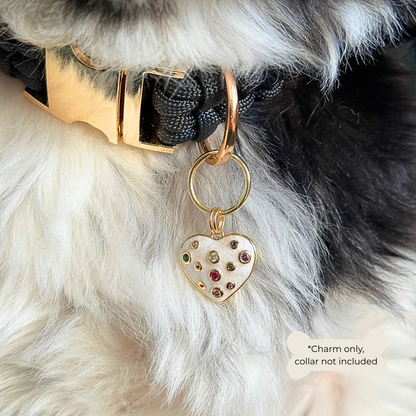Heart shaped cream / off white pearlescent coloured enamel and brass pet collar charm featuring a selection of multicoloured cubic zirconia stones. Pictured being worn by my black and white Shih Tzu, Bonnie, close up.