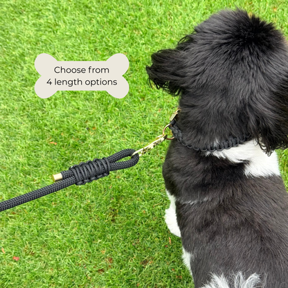 Custom made black nylon braided rope dog lead