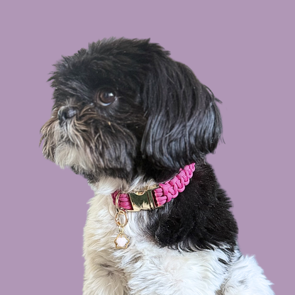 Crystal for dogs pet collar charm featuring a 10mm rose quartz heart shaped bead and a brass gold coloured paw print tag. A stone for love, calm and comfort. Pictured being worn by Bonnie.