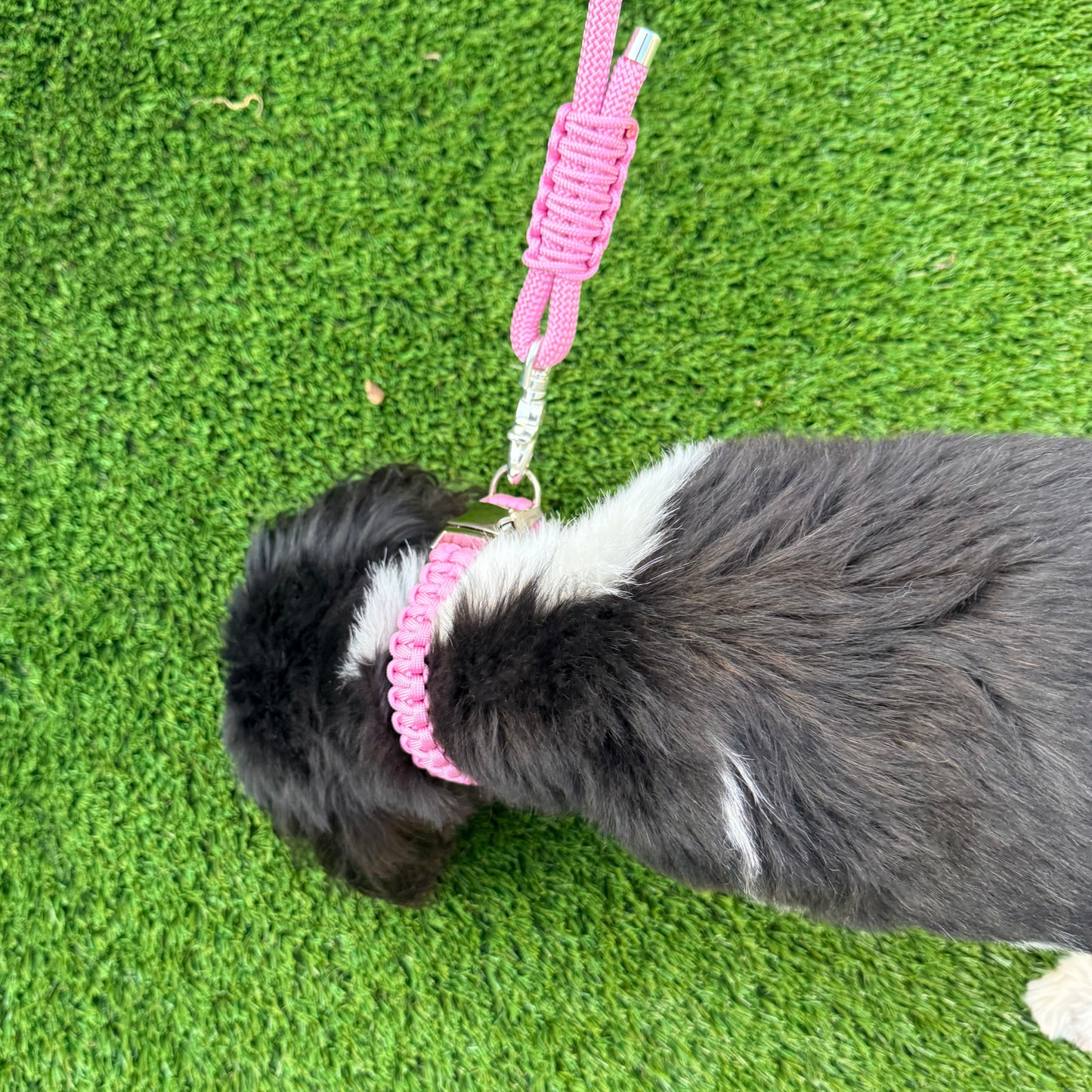 Custom made ‘Lavender Pink’ nylon braided rope dog lead