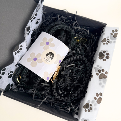 A black dog lead and collar set presented in a black gift box. The box is filled with black shredded paper and paw print tissue. A white label with a floral design and a dog illustration is wrapped around the lead.